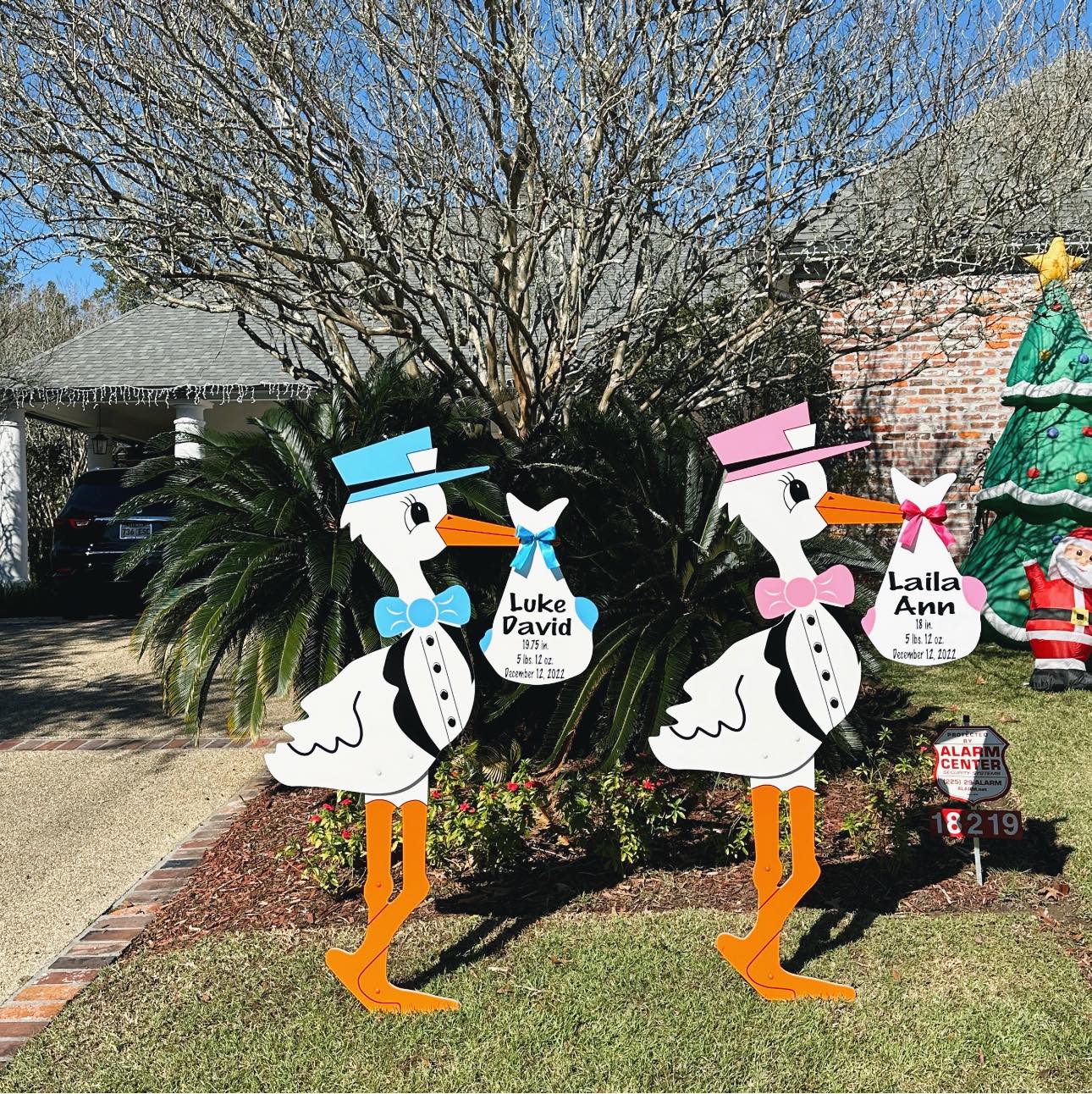 Pink and Blue Stork Sign with Personalized Bundles for Twins, Colorado Springs, Falcon, Peyton, Monument, Palmer Lake, Manitou