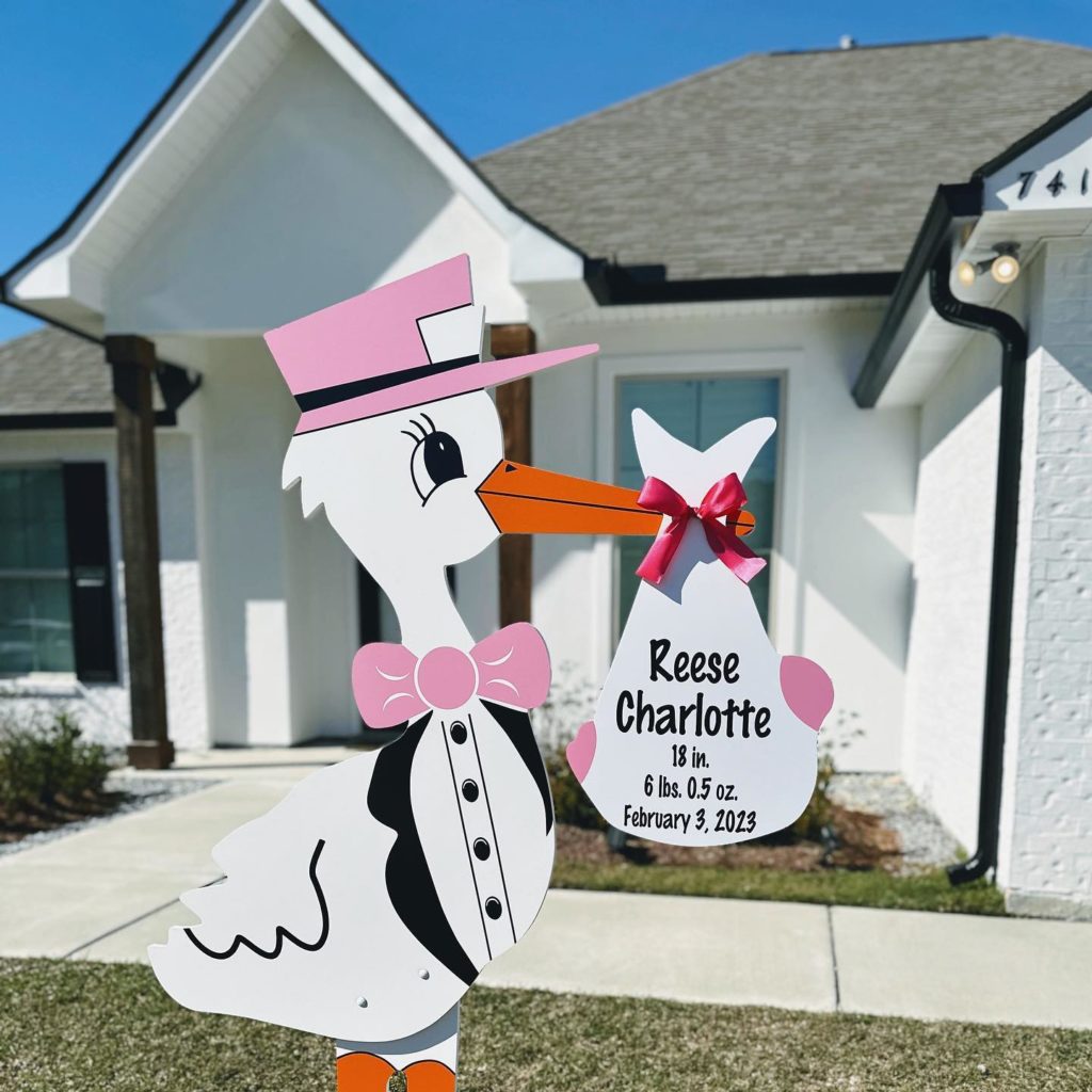 Pink Stork Sign with Personalized Bundle, Colorado Springs, Falcon, Peyton, Monument, Palmer Lake, Manitou