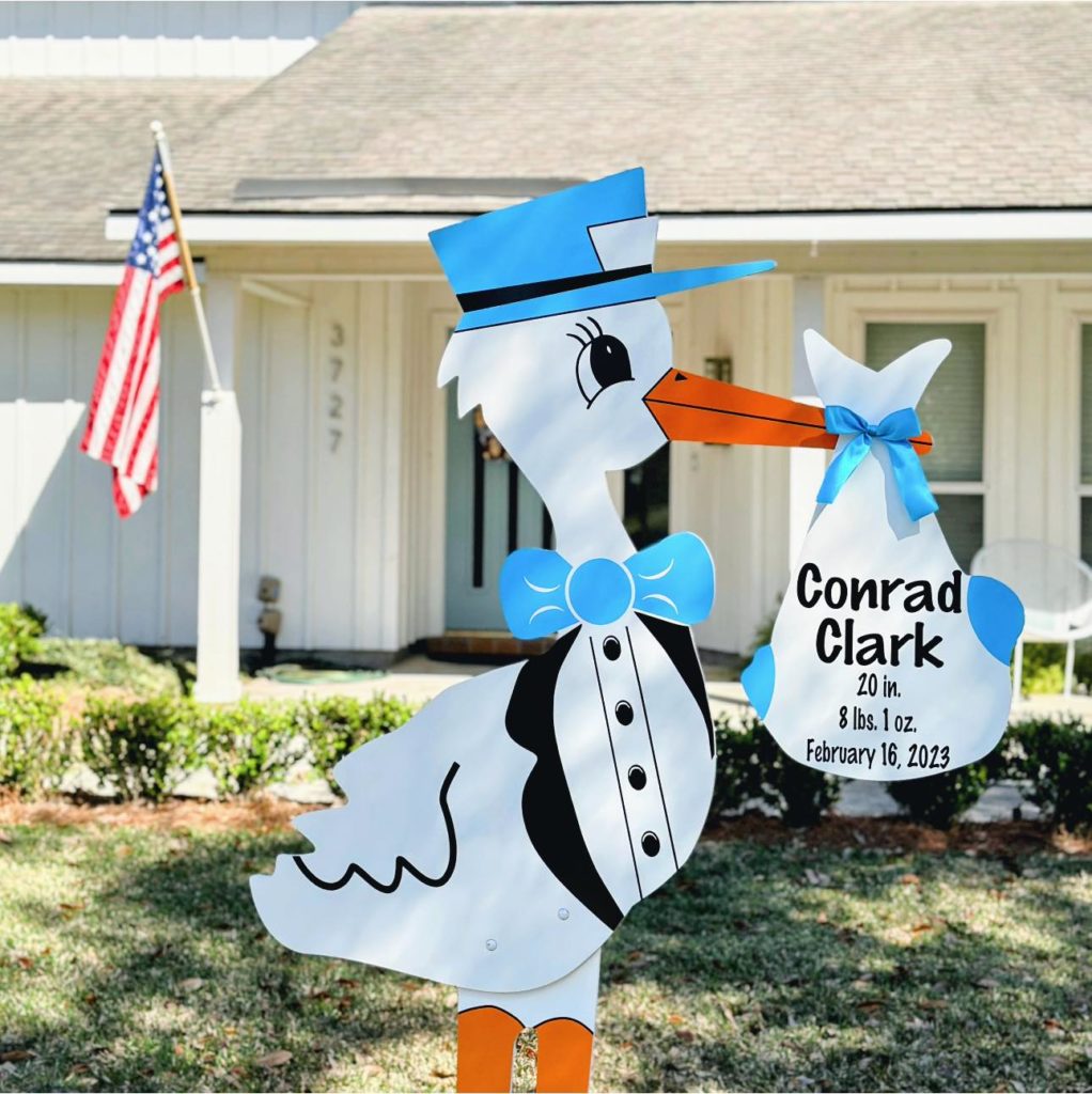 Blue Stork Sign with Personalized Bundle, Colorado Springs, Falcon, Peyton, Monument, Palmer Lake, Manitou